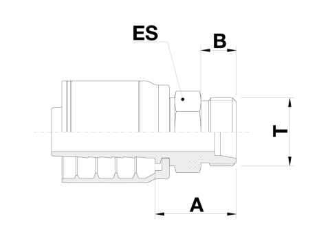 DLM1