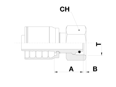 DSF1