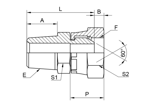 LINE_AAMN