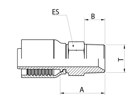 LINE_NM1 T